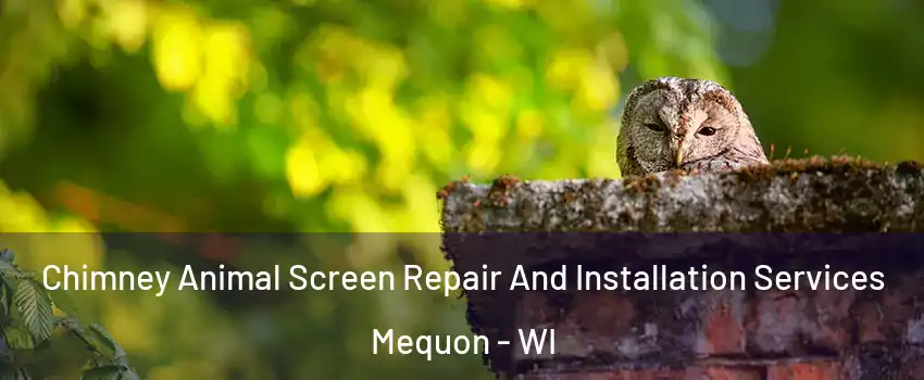  Chimney Animal Screen Repair And Installation Services Mequon - WI