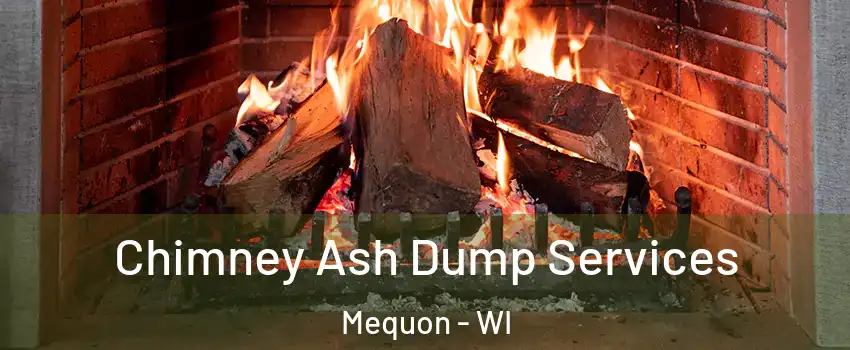  Chimney Ash Dump Services Mequon - WI