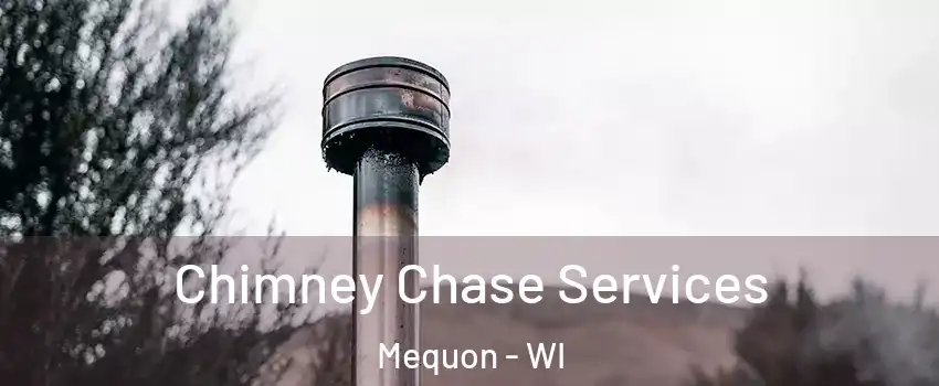  Chimney Chase Services Mequon - WI