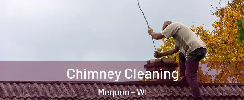  Chimney Cleaning Mequon - WI