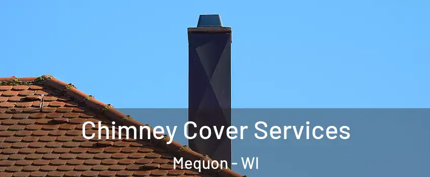  Chimney Cover Services Mequon - WI