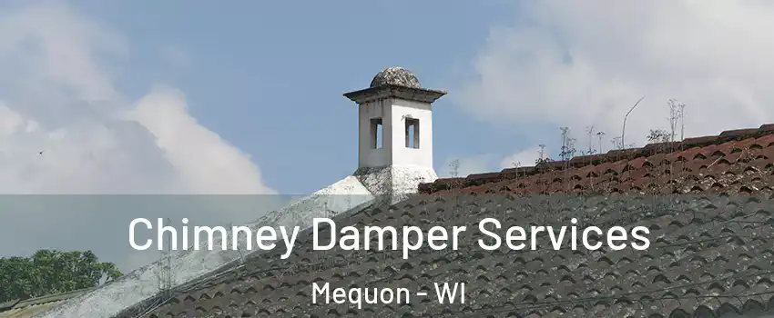  Chimney Damper Services Mequon - WI