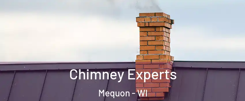 Chimney Experts Mequon - WI