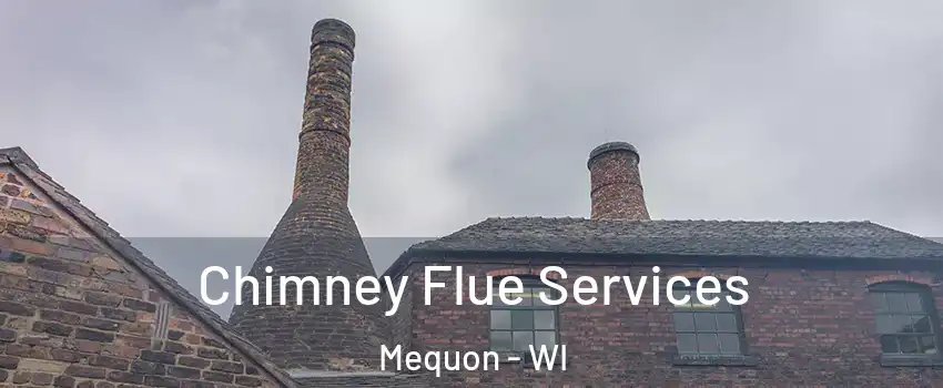  Chimney Flue Services Mequon - WI