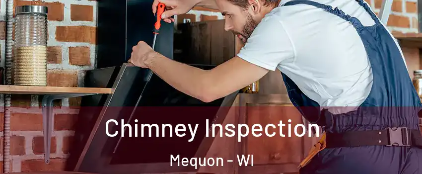  Chimney Inspection Mequon - WI