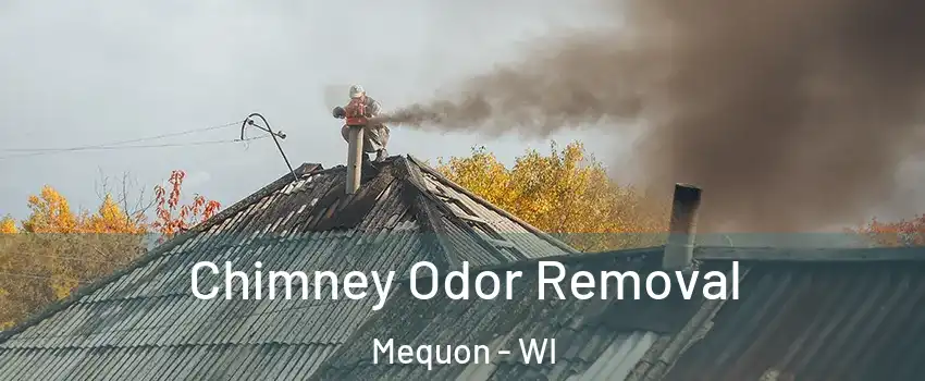  Chimney Odor Removal Mequon - WI
