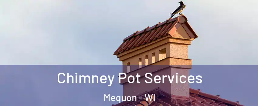  Chimney Pot Services Mequon - WI