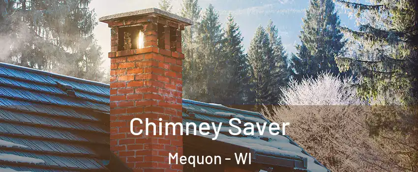  Chimney Saver Mequon - WI