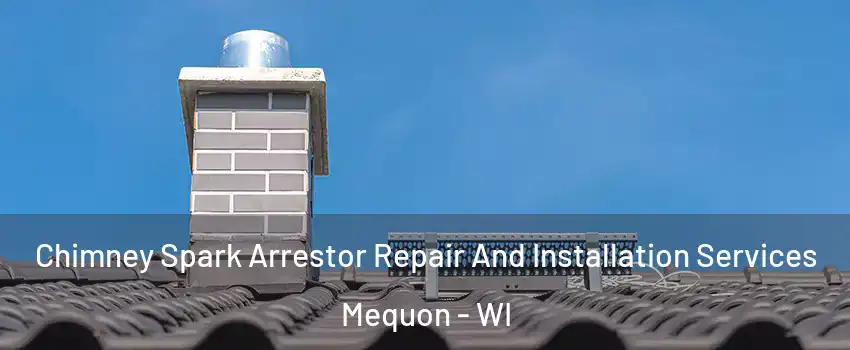  Chimney Spark Arrestor Repair And Installation Services Mequon - WI