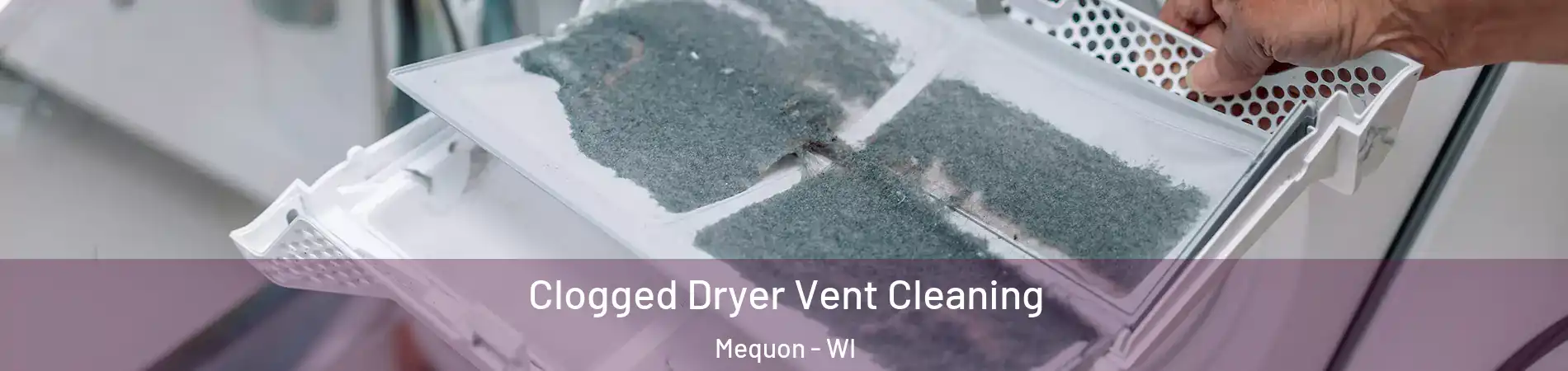 Clogged Dryer Vent Cleaning Mequon - WI