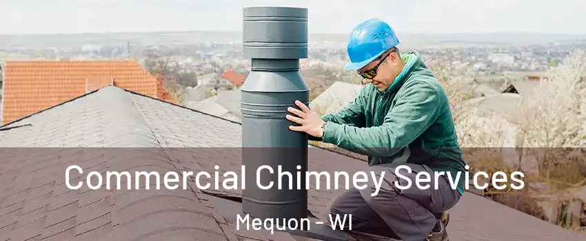  Commercial Chimney Services Mequon - WI