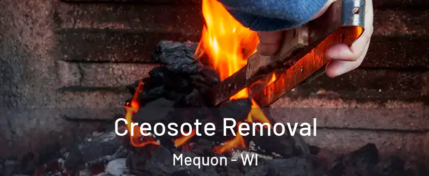  Creosote Removal Mequon - WI
