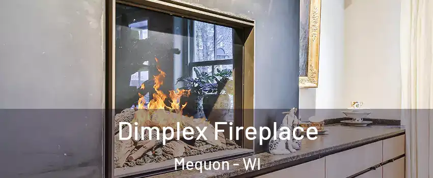  Dimplex Fireplace Mequon - WI