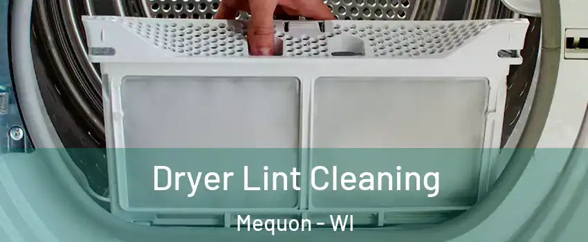  Dryer Lint Cleaning Mequon - WI