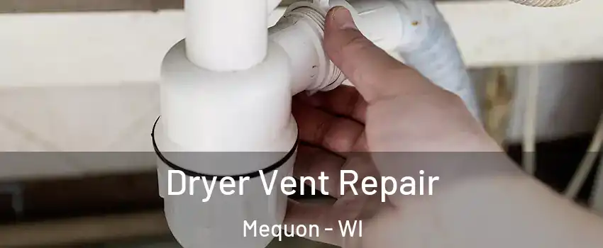  Dryer Vent Repair Mequon - WI