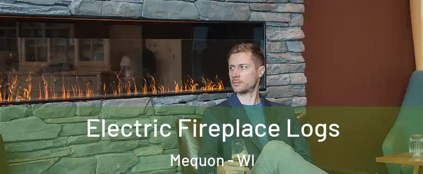  Electric Fireplace Logs Mequon - WI