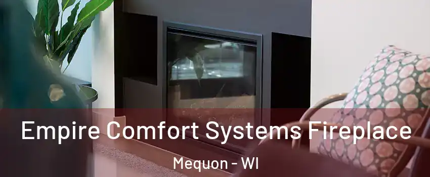  Empire Comfort Systems Fireplace Mequon - WI