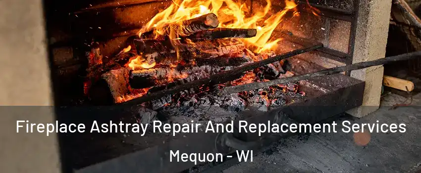  Fireplace Ashtray Repair And Replacement Services Mequon - WI