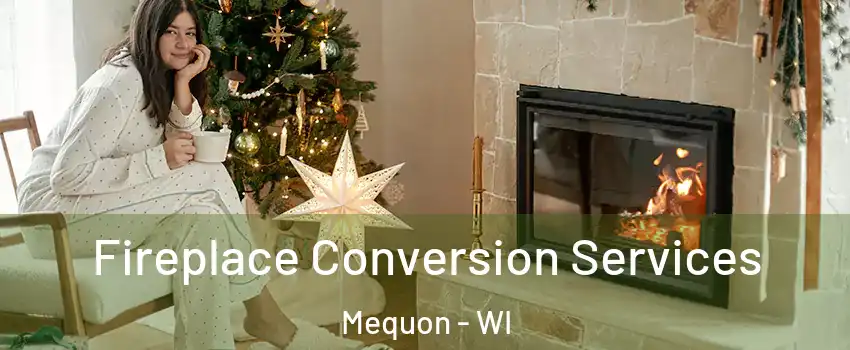  Fireplace Conversion Services Mequon - WI