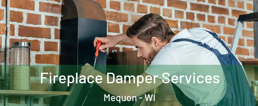  Fireplace Damper Services Mequon - WI