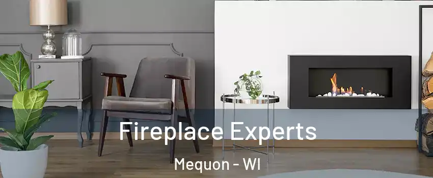  Fireplace Experts Mequon - WI