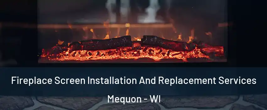  Fireplace Screen Installation And Replacement Services Mequon - WI