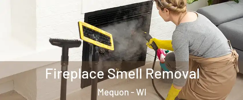  Fireplace Smell Removal Mequon - WI