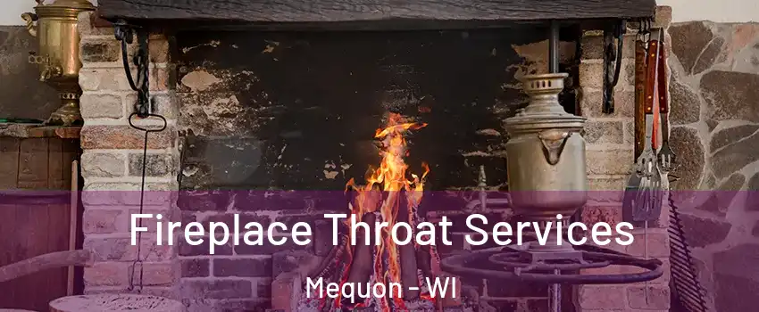  Fireplace Throat Services Mequon - WI