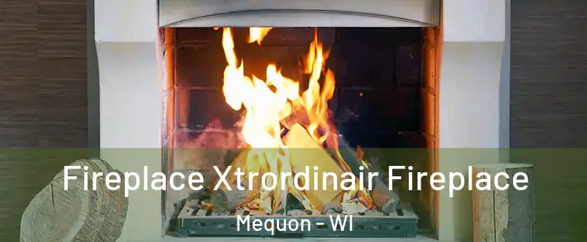  Fireplace Xtrordinair Fireplace Mequon - WI