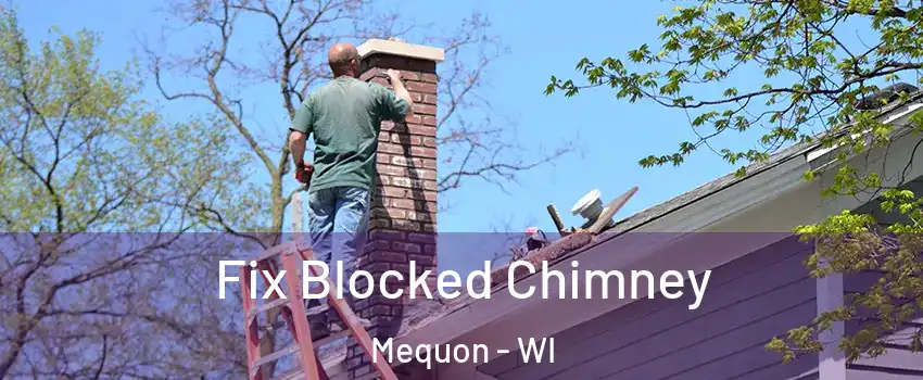  Fix Blocked Chimney Mequon - WI