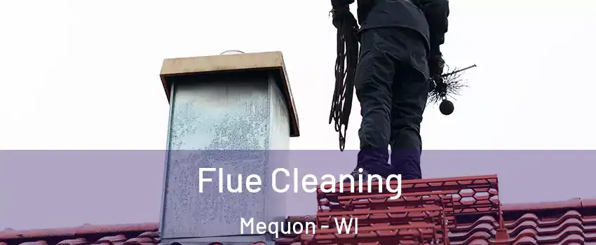  Flue Cleaning Mequon - WI