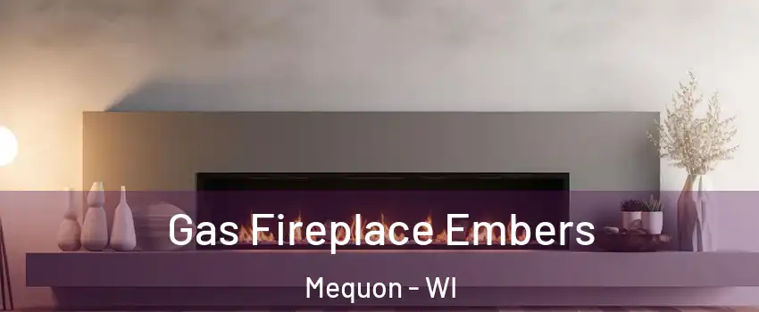  Gas Fireplace Embers Mequon - WI