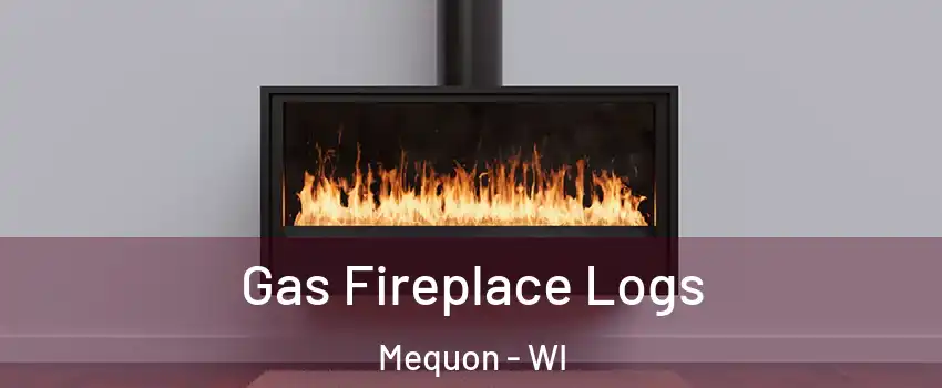  Gas Fireplace Logs Mequon - WI