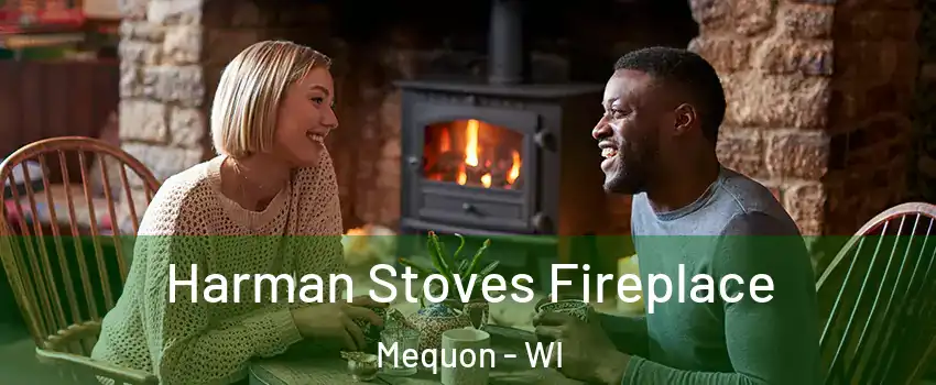  Harman Stoves Fireplace Mequon - WI