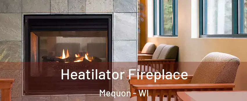  Heatilator Fireplace Mequon - WI