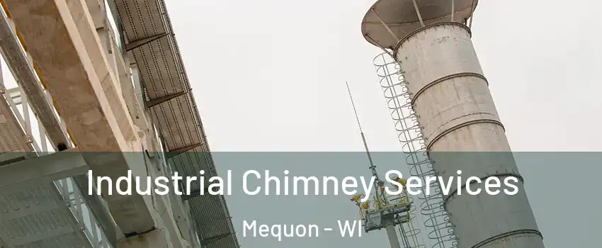  Industrial Chimney Services Mequon - WI