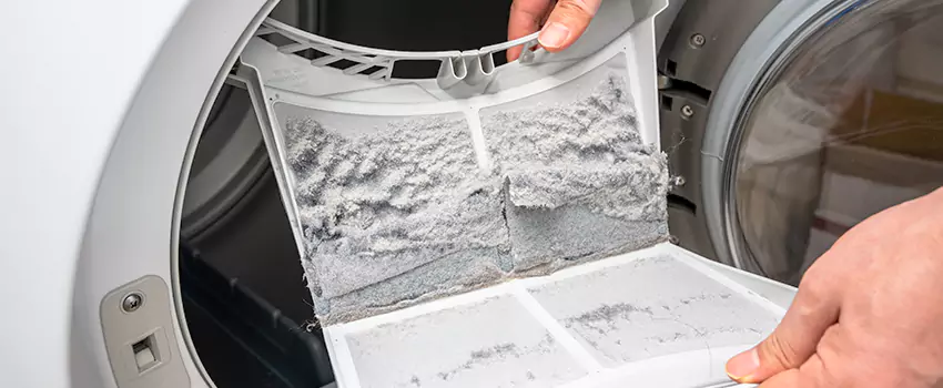 Best Dryer Lint Removal Company in Mequon, Wisconsin