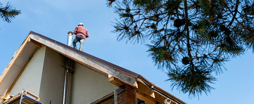 Birds Removal Contractors from Chimney in Mequon, WI