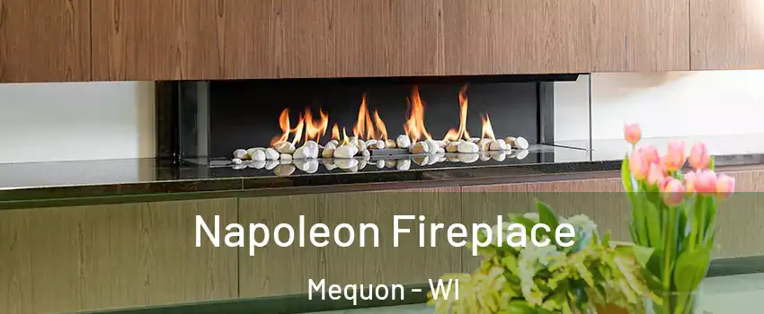  Napoleon Fireplace Mequon - WI