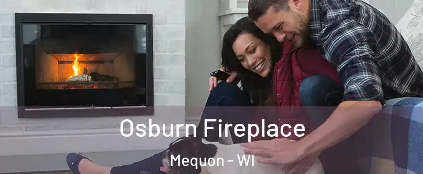  Osburn Fireplace Mequon - WI