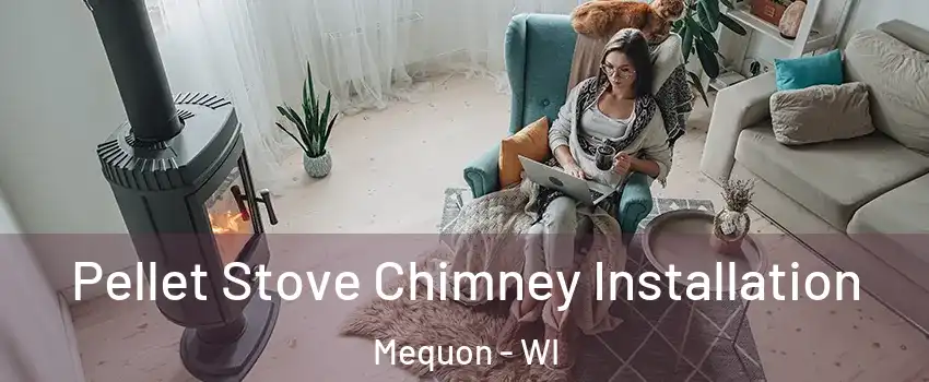  Pellet Stove Chimney Installation Mequon - WI