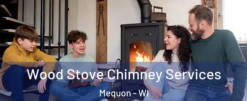  Wood Stove Chimney Services Mequon - WI
