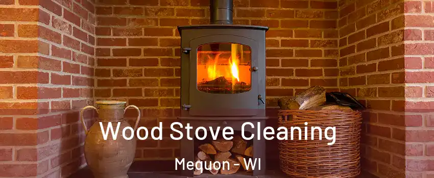  Wood Stove Cleaning Mequon - WI